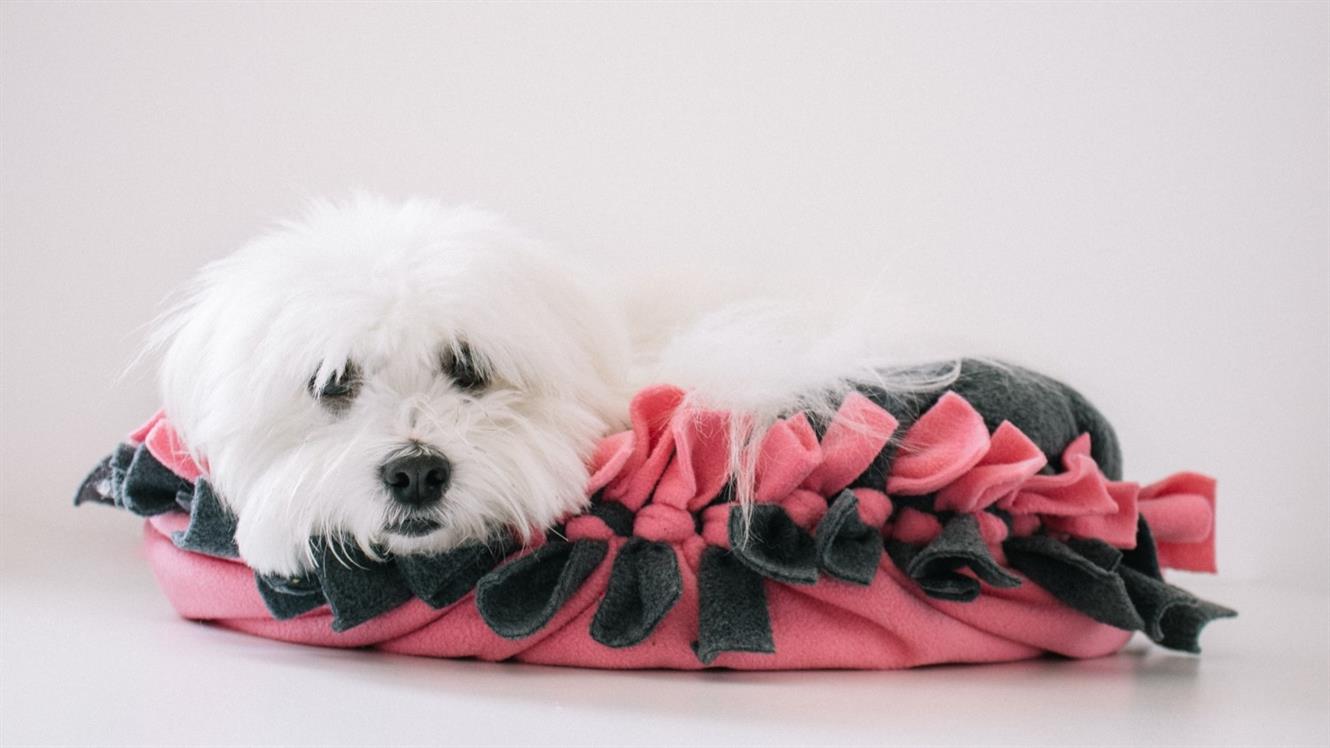 Pasja ali mačja postelja brez šivanja