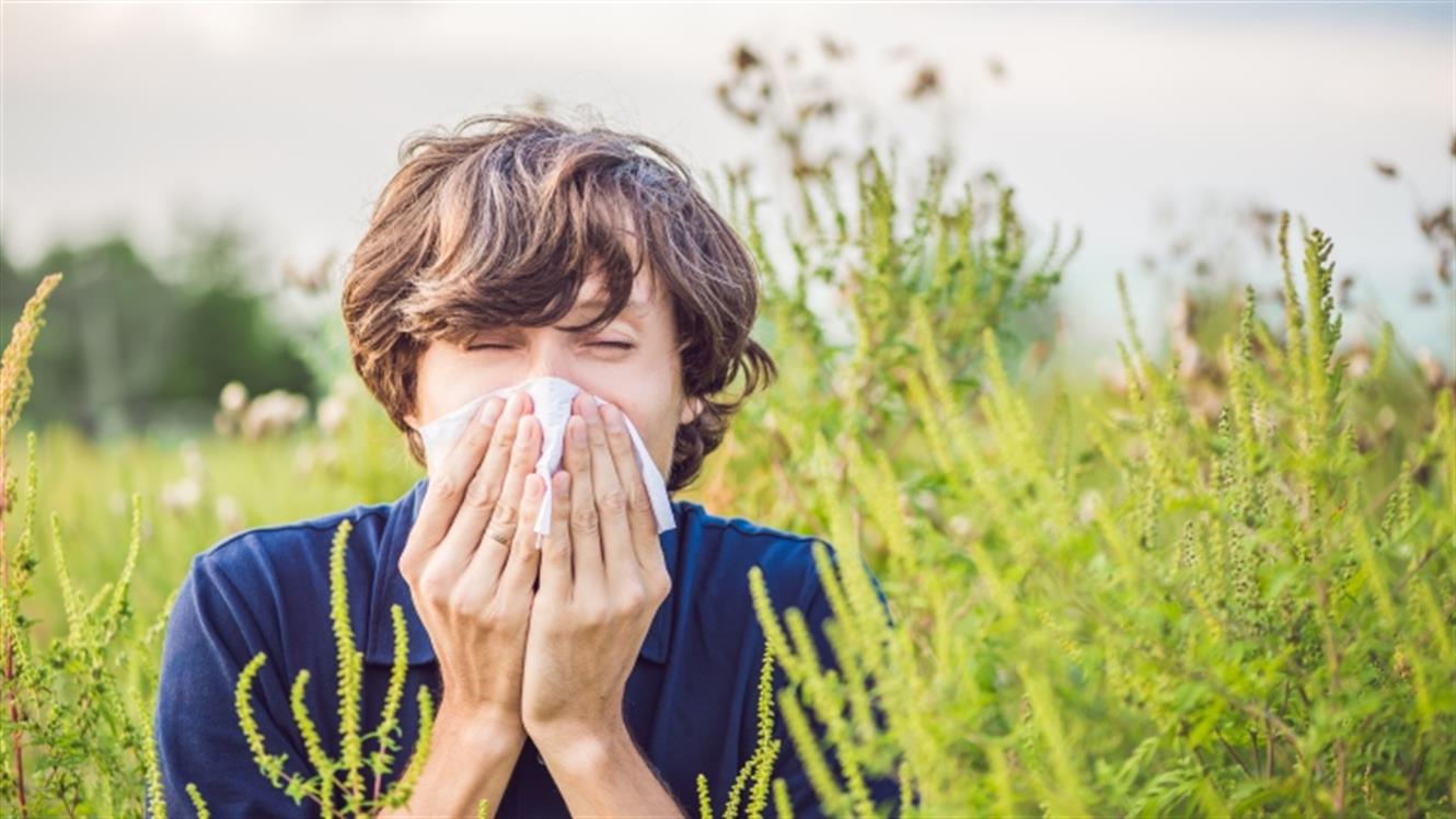 V boj s sezonskimi alergijami