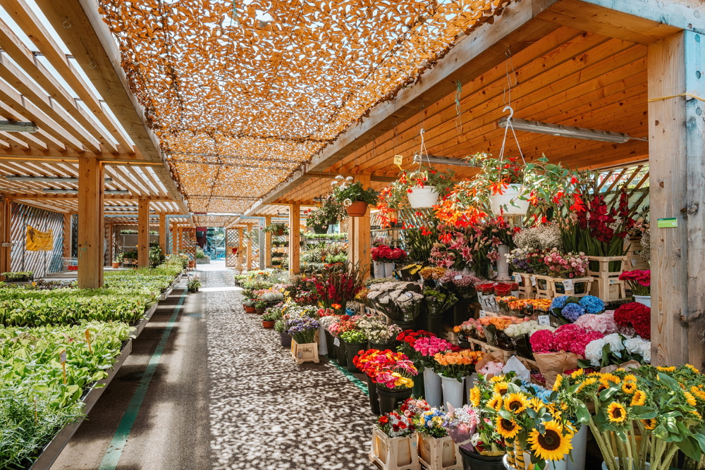 Cvetlični trg