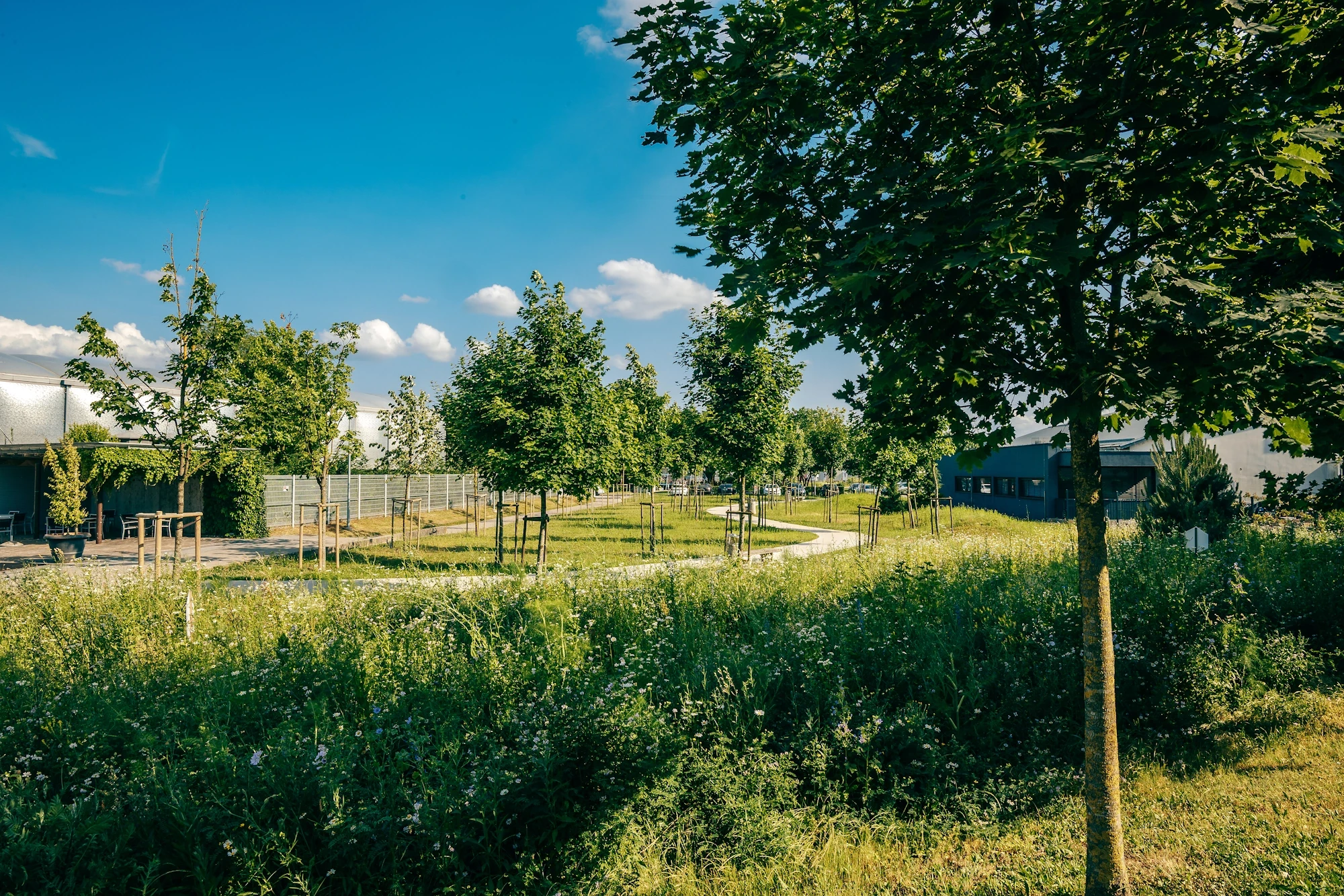 Trajnost   urbano ozelenjevanje4