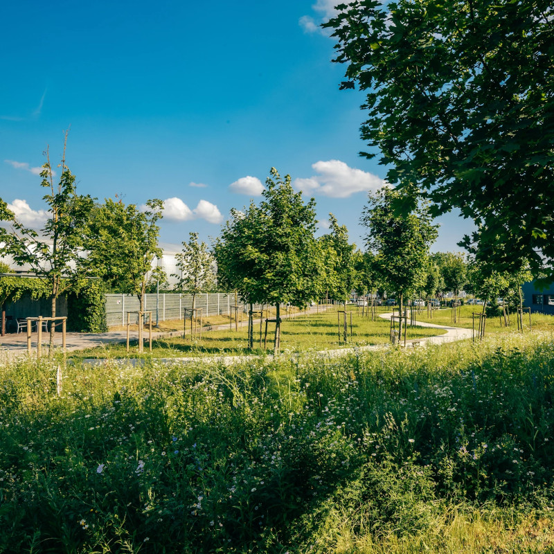Trajnost urbano ozelenjevanje4