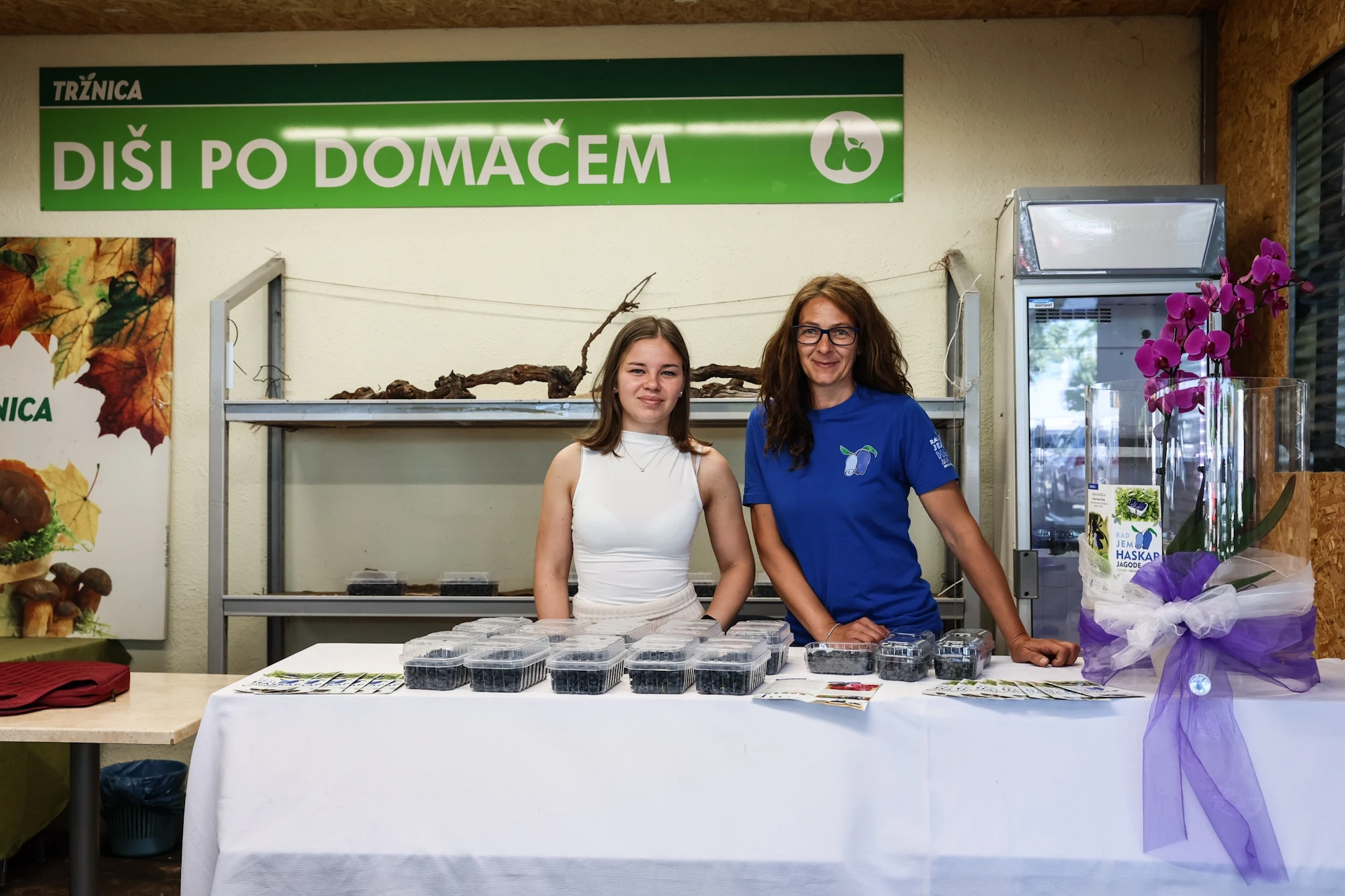 Diši po domačem sibirske borovnice  renata felicijan (2)