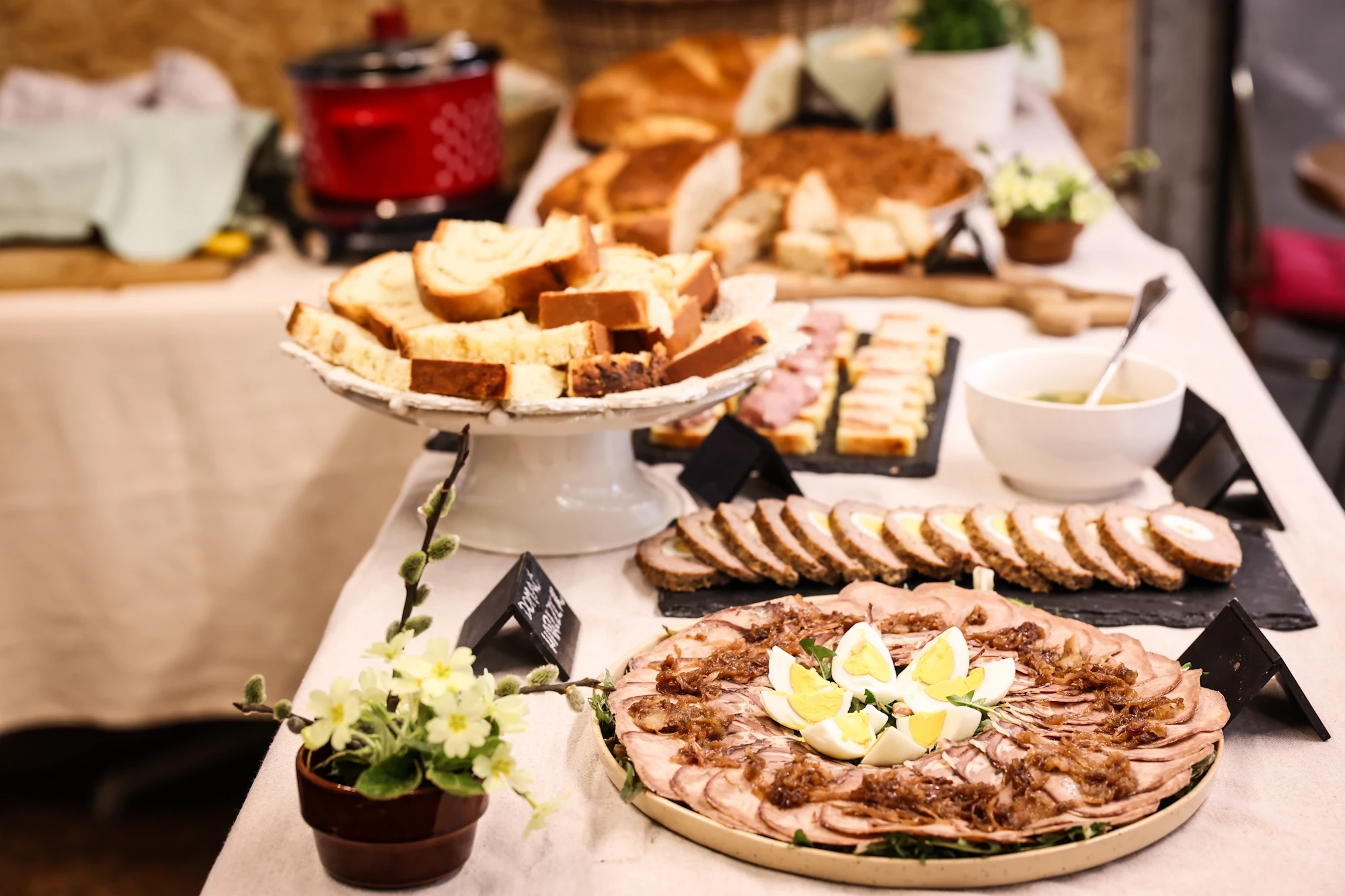 Disi po domacem kmetija mehak (1)