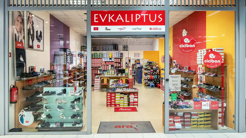 Evkaliptus 2