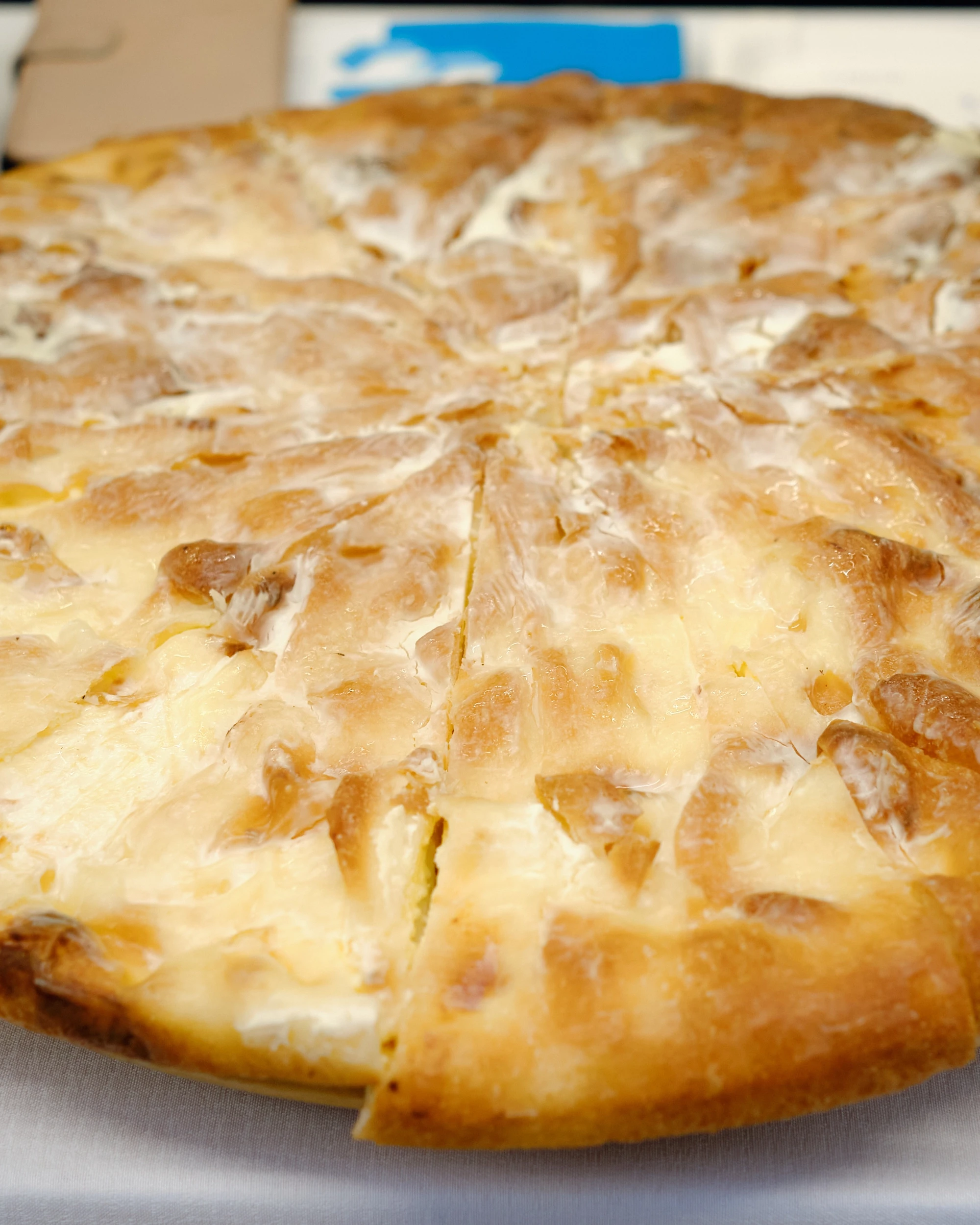 Diši do domačem sirk in nastran (2)