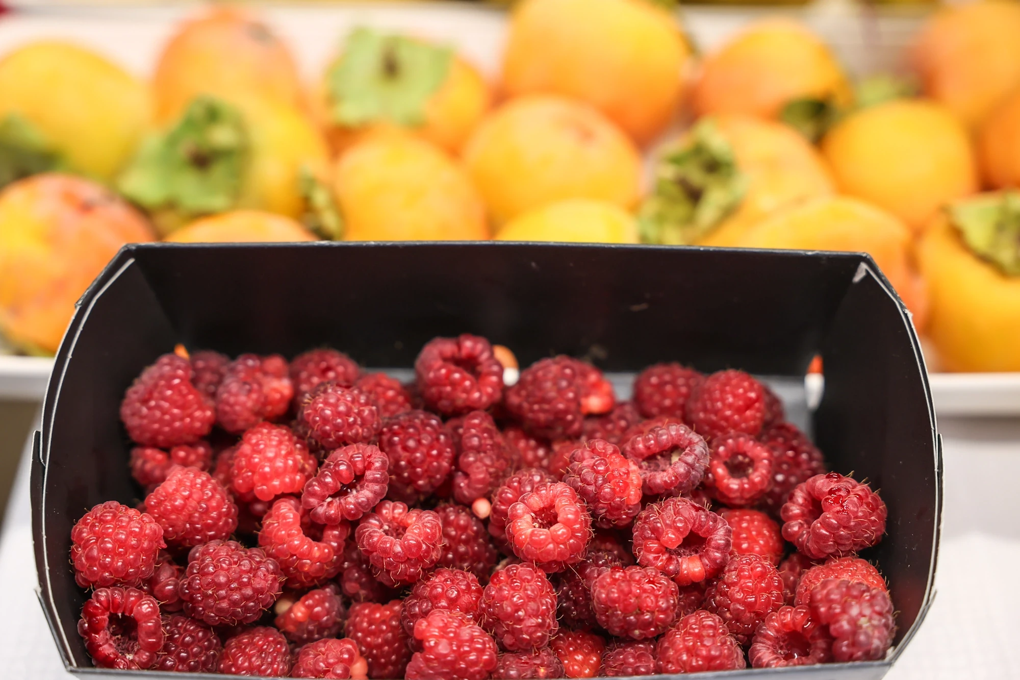 Diši po domačem ekoposest zakladnica (2)