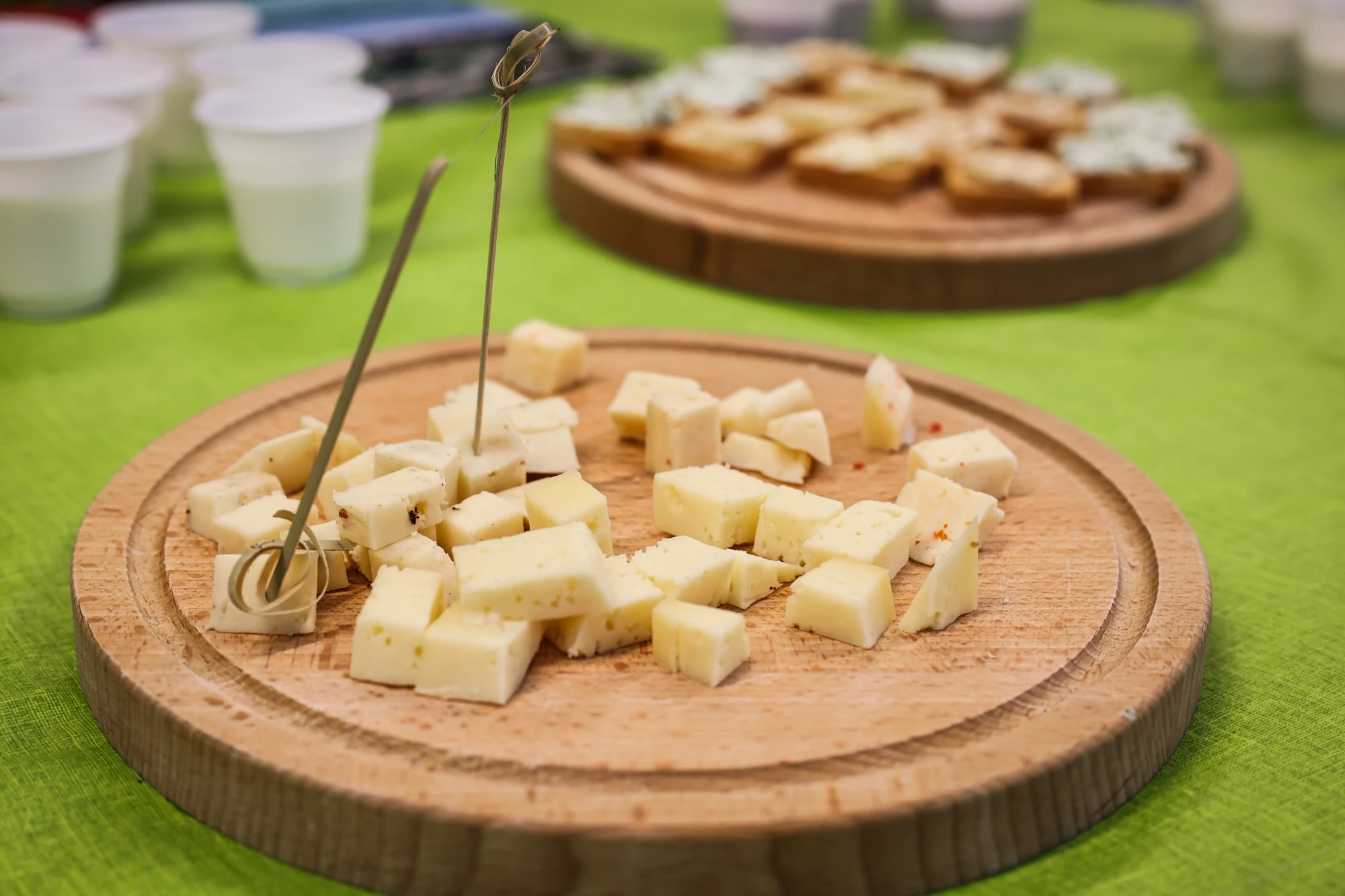 Disi po domacem pri lukovih (1)