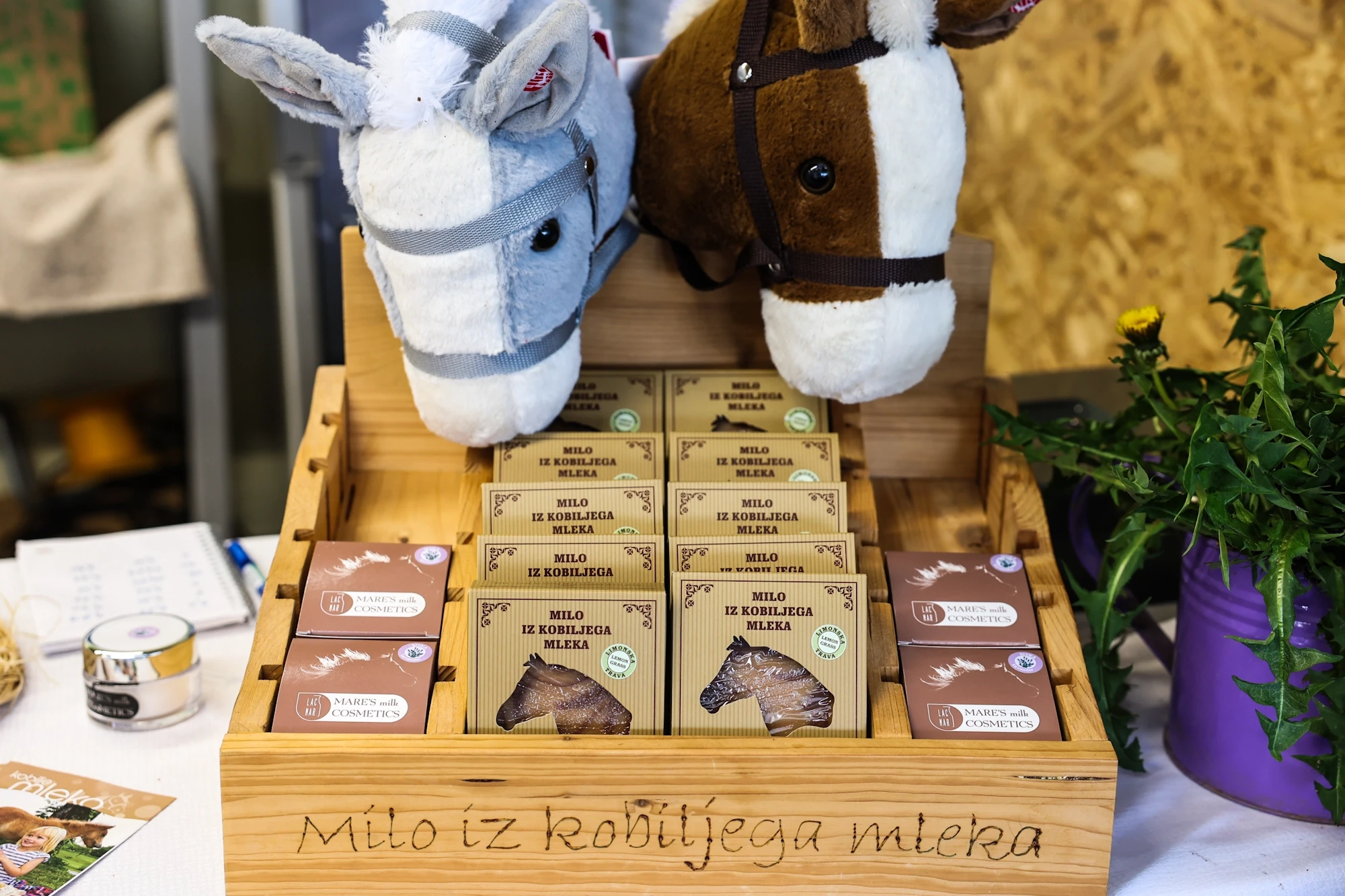 Disi po domacem trznica btc city kobilje mleko lacmar 04