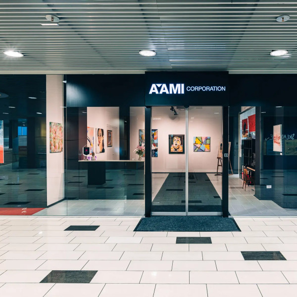 AAMI Corporation 2