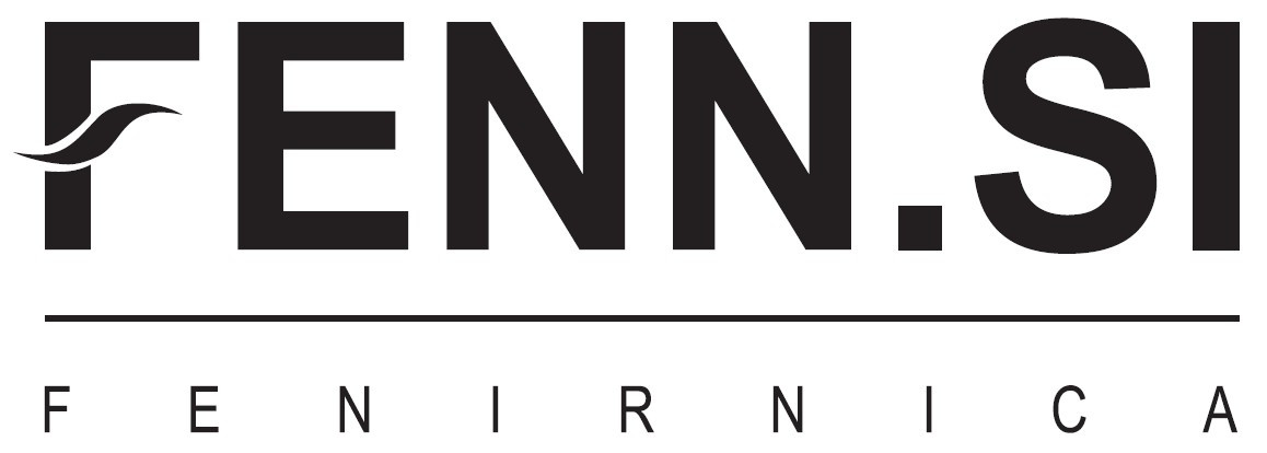 Fenn.si logo