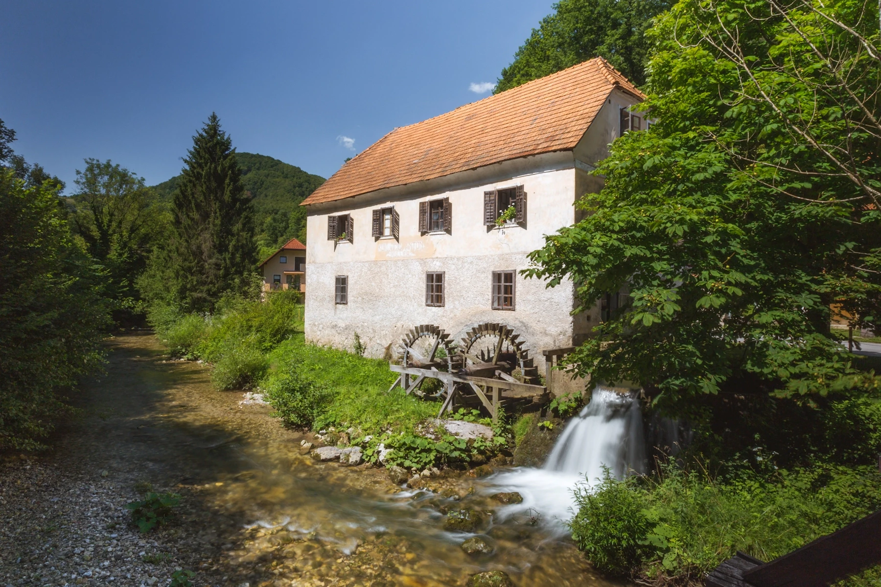 Disi po domacem kukovicev mlin