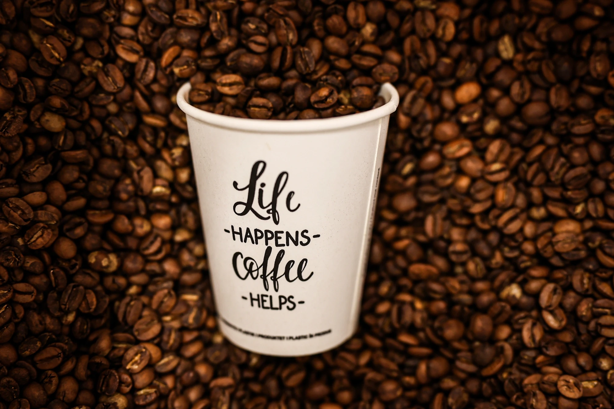 Diši po domačem kava poletje (4)