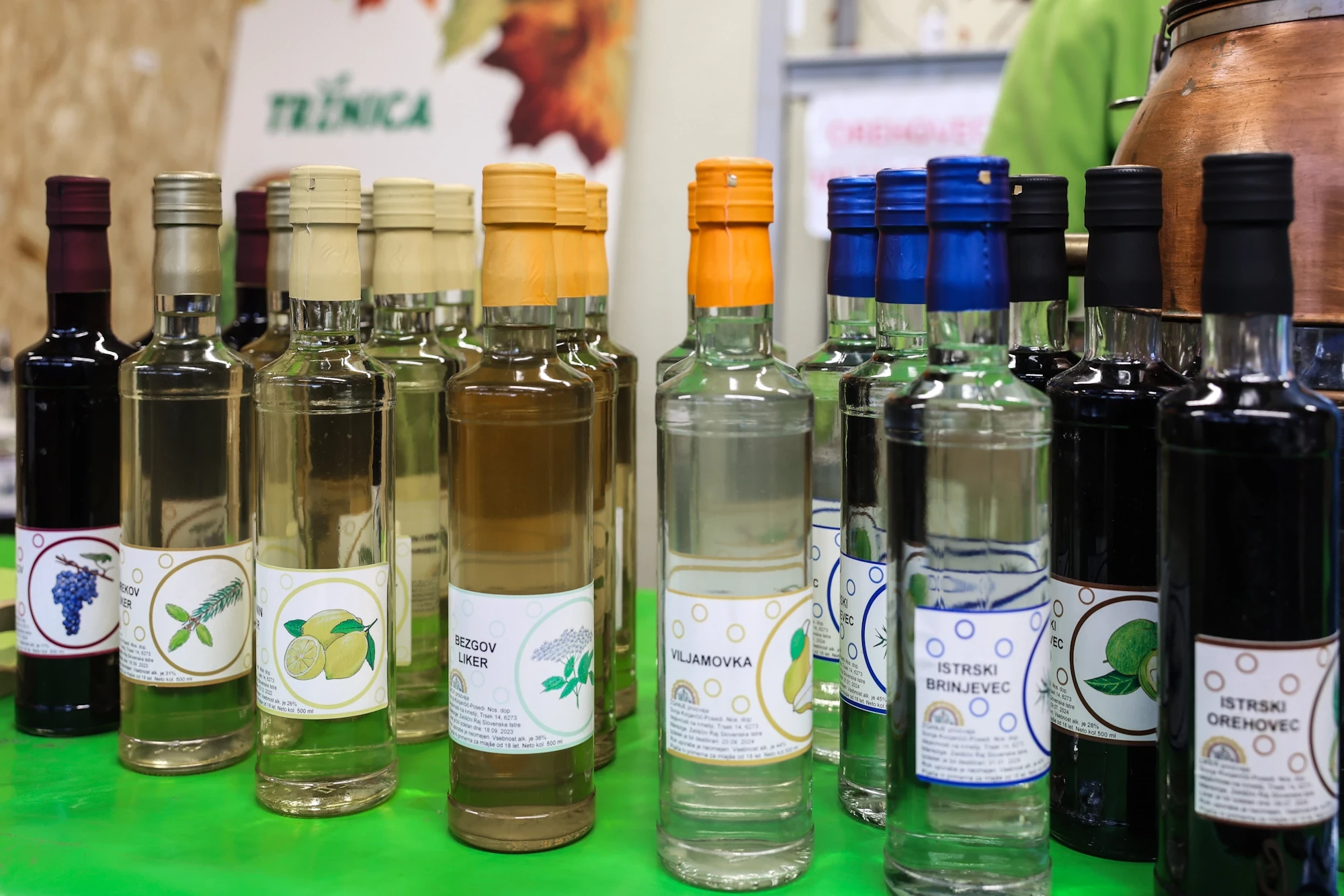 Disi po domacem zeliscni raj 2