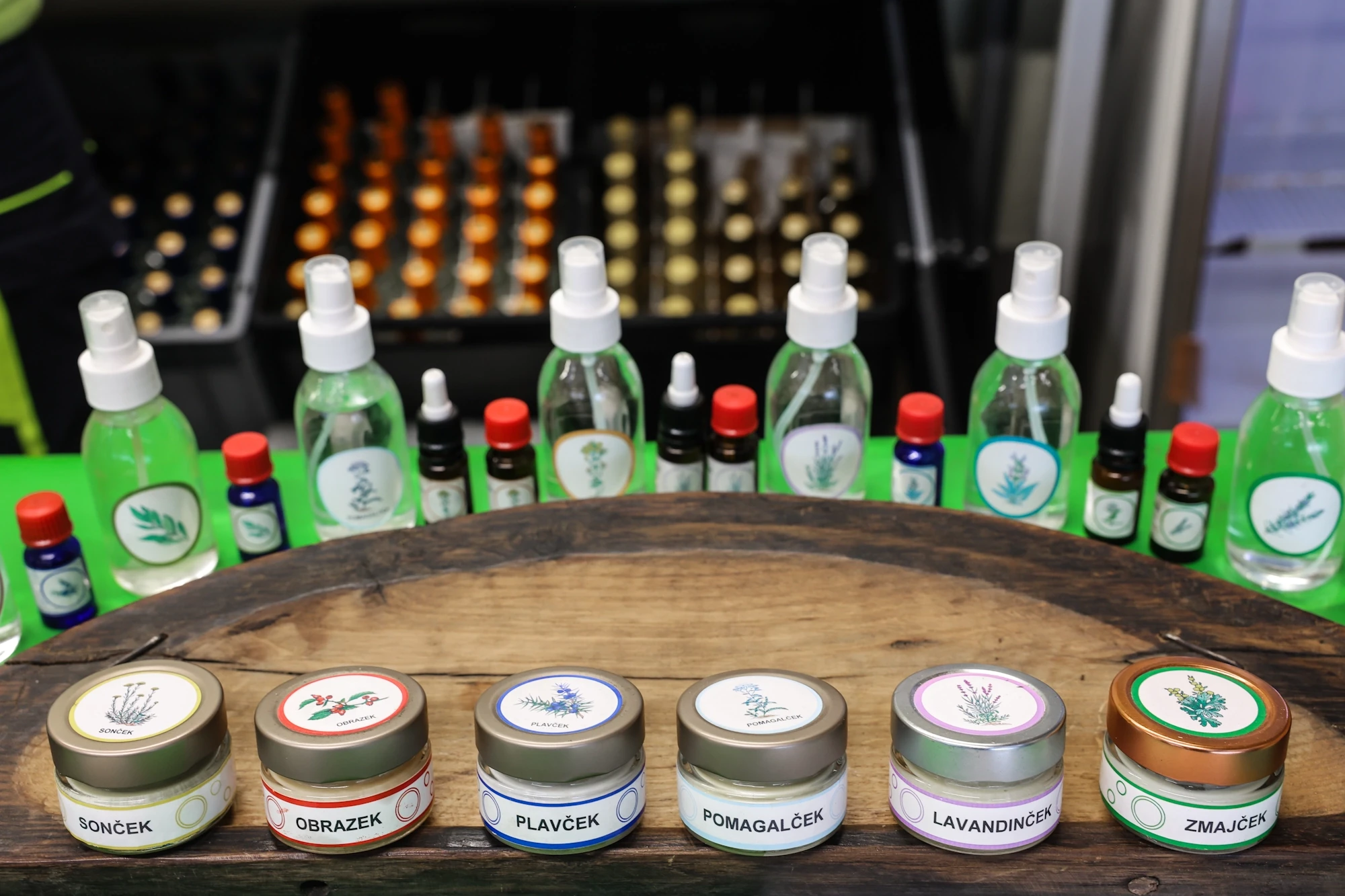 Disi po domacem zeliscni raj 3