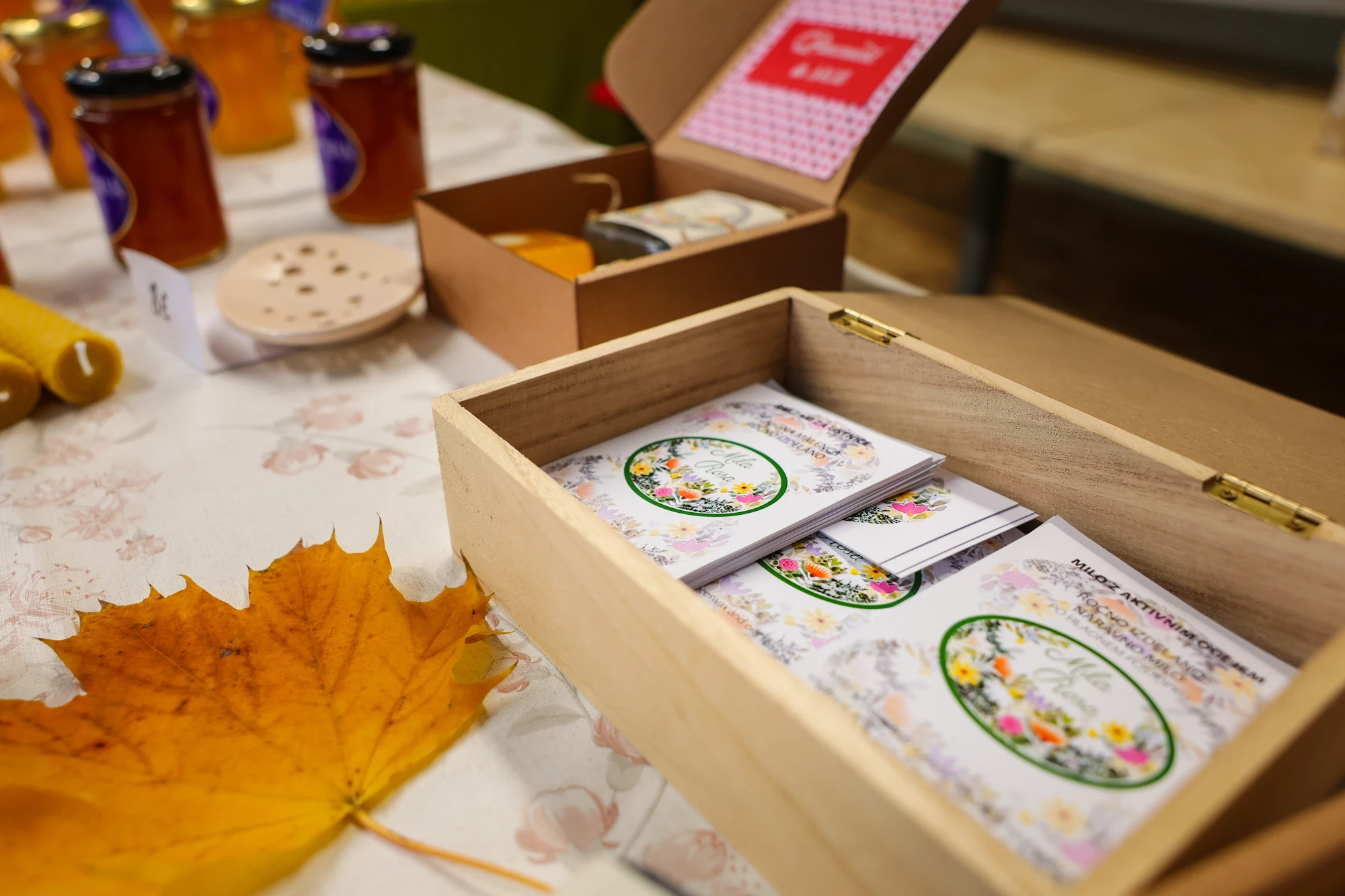 Disi po domacem mila rosa medičina (3)