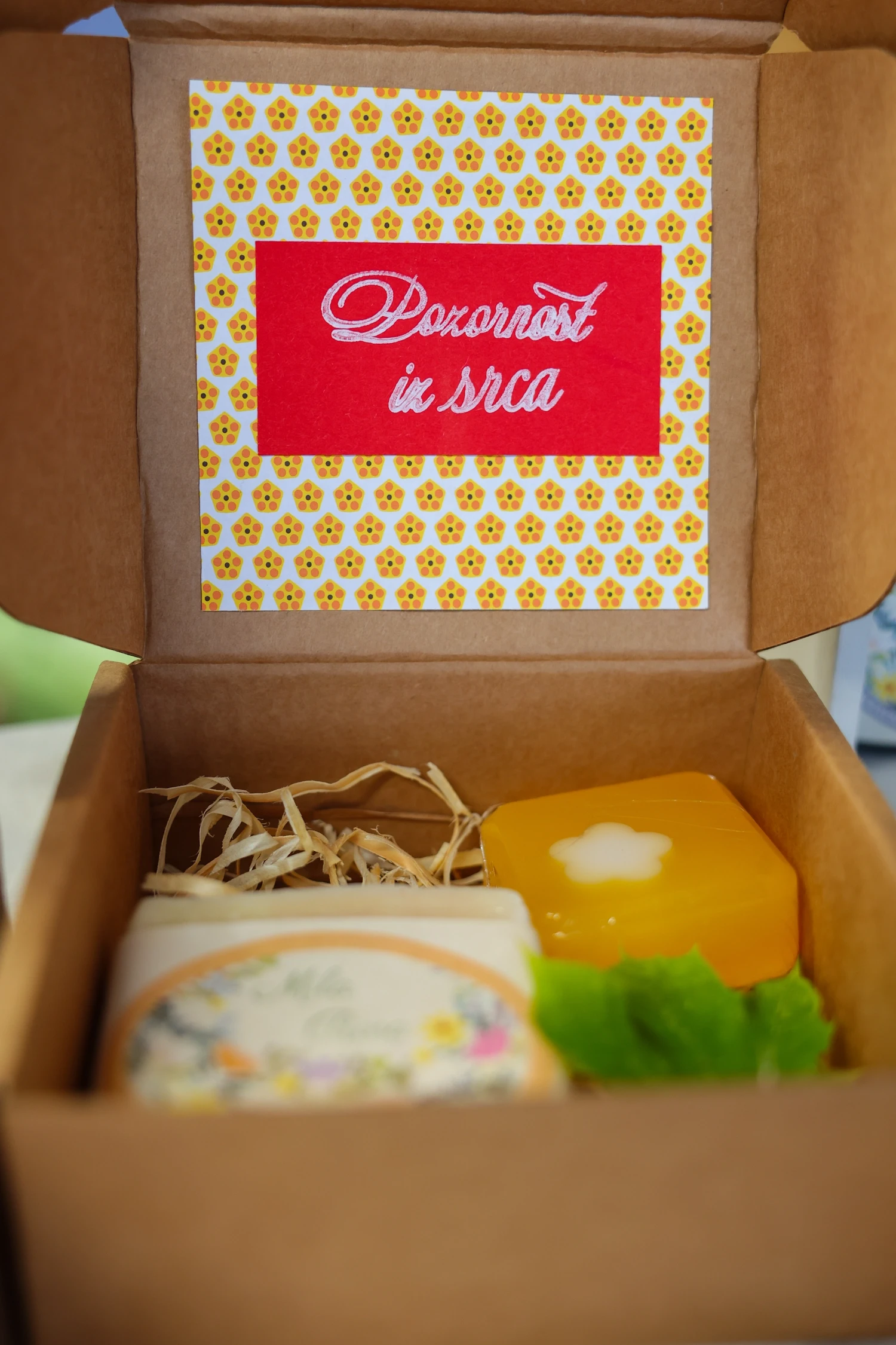 Disi po domacem mila rosa medičina (4)