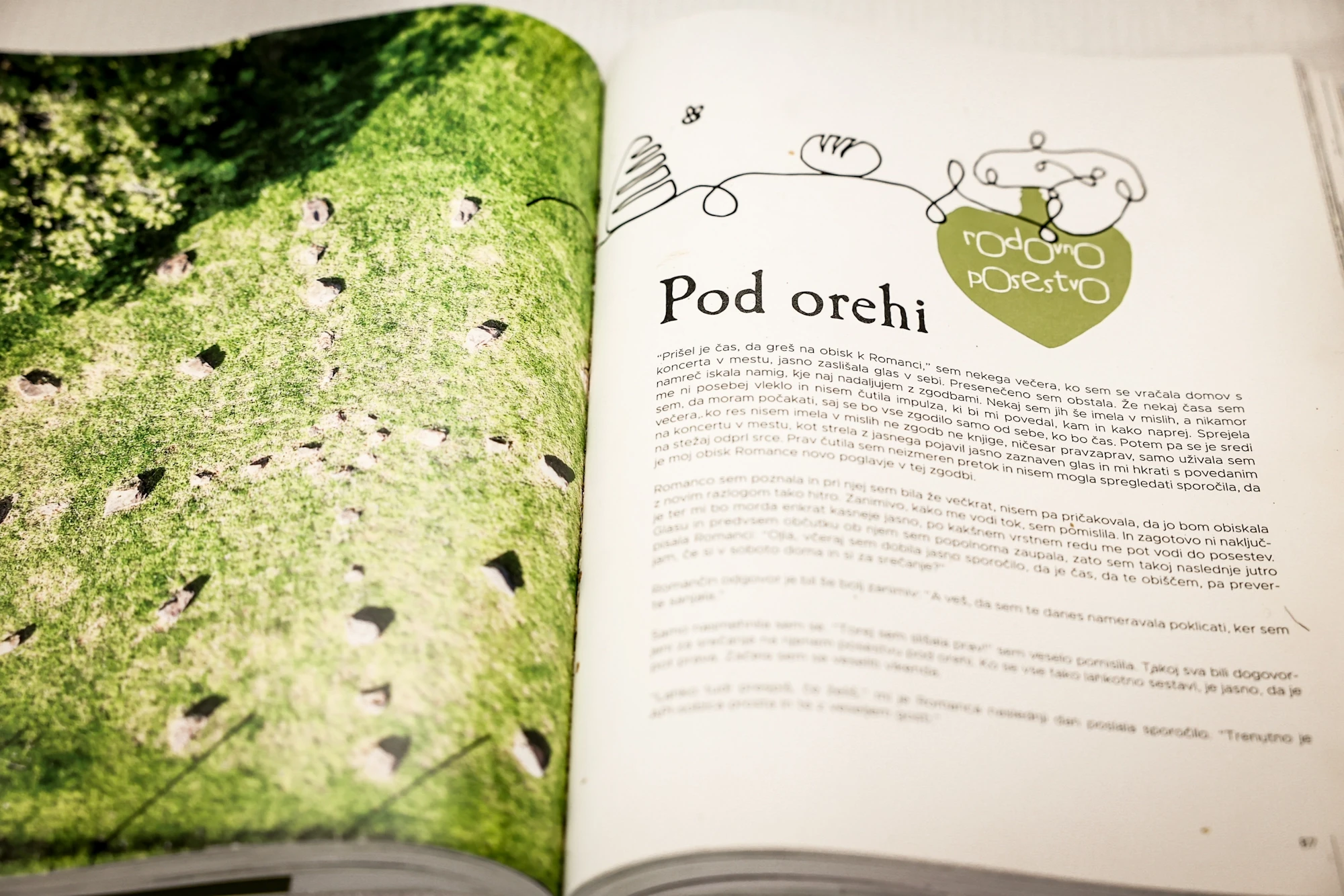 Romanca Rečnik igra narave diši po domačem tržnica btc city (5)