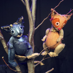 Veveriček posebne sorte