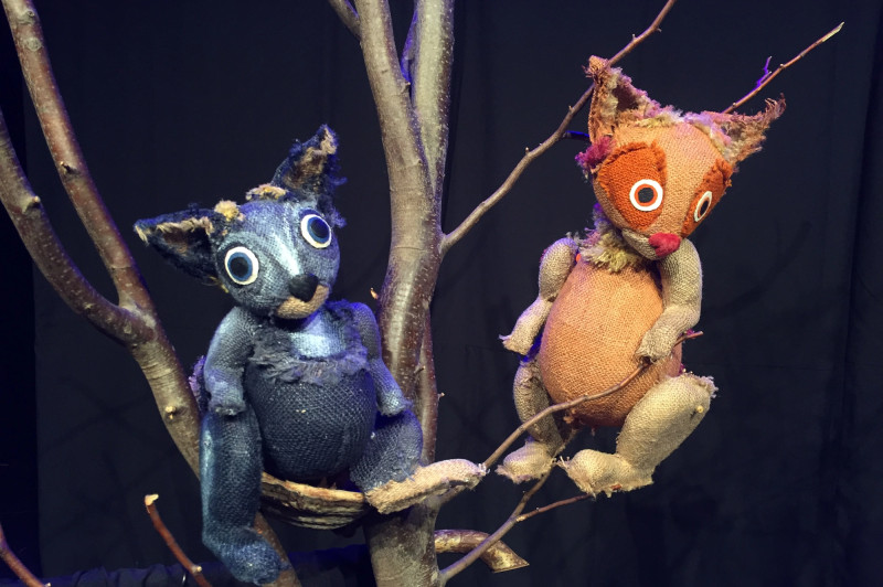 Veveriček posebne sorte